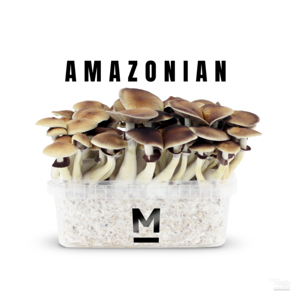 PES Amazonian Grow Kit